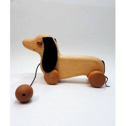 Maurice le chien saucisse