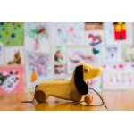 Maurice le chien saucisse