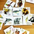 Lettres de l'alphabet et animaux - Ensemble d'aimants