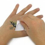 Tatouages temporaires - Dinosaures