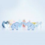 Arche de Noé - Trieuse de formes