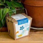 Bonne fête des Mères