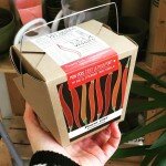 Bonne fête des Pères