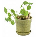 Ensemble de jardinage - Feuilles géniales