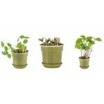 Ensemble de jardinage - Feuilles géniales