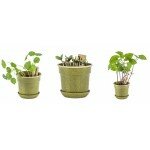 Ensemble de jardinage - Mes premières plantes