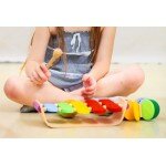 Oval Xylophone Oval Xylophone