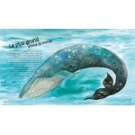 World of Animals - French Book