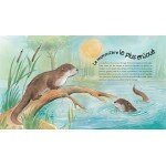 World of Animals - French Book